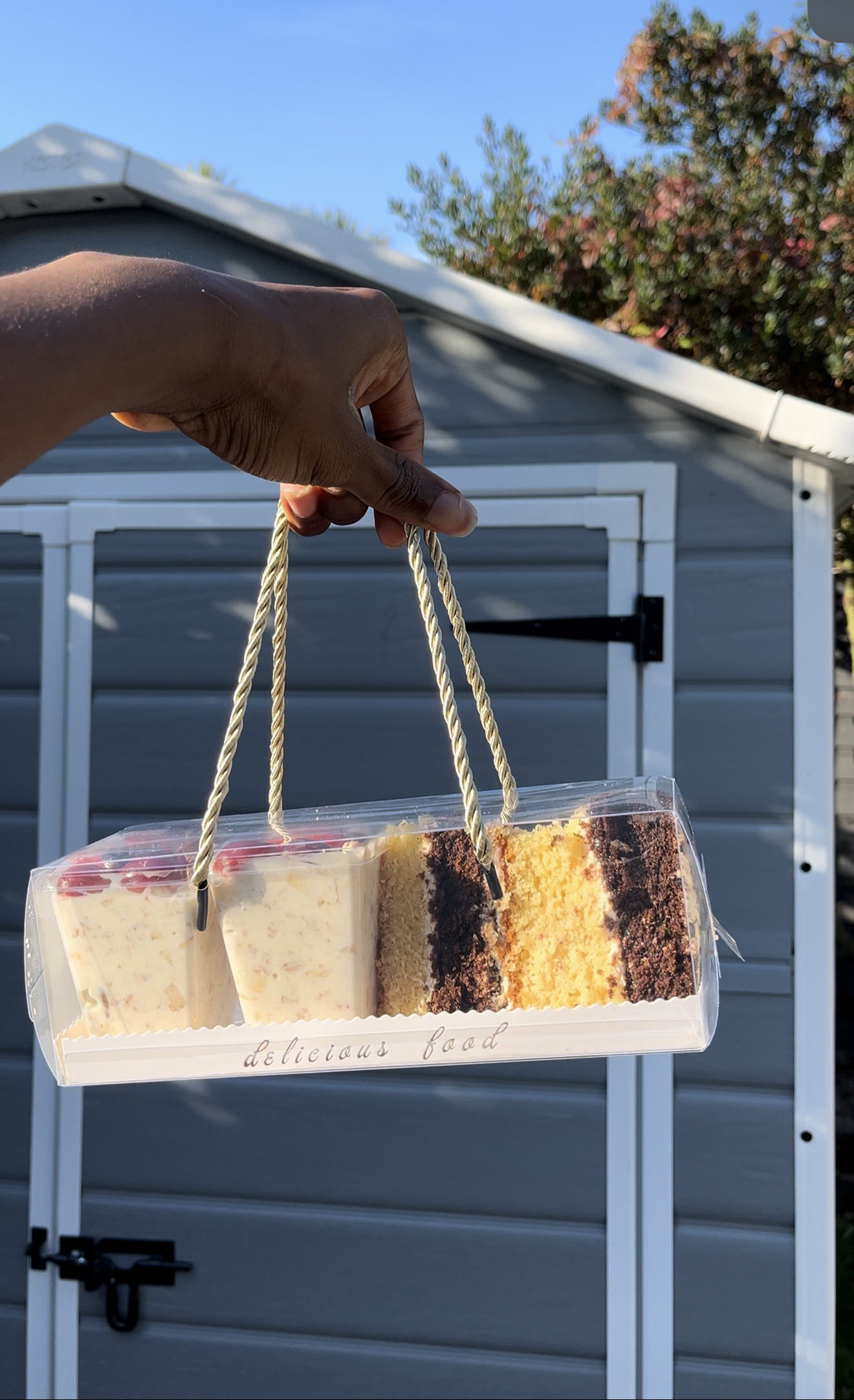 CAKE SLICE & FRUIT PARFAIT